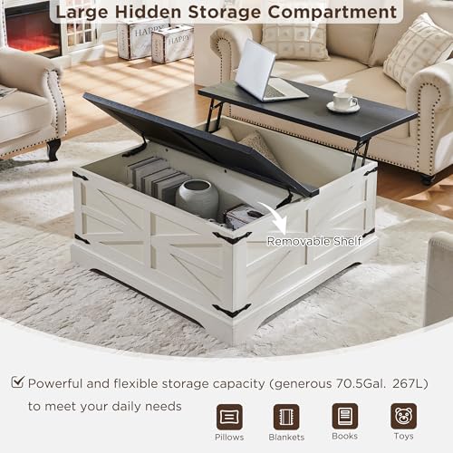 Light Brown Wood Lift Top Coffee Table with Storage N6606