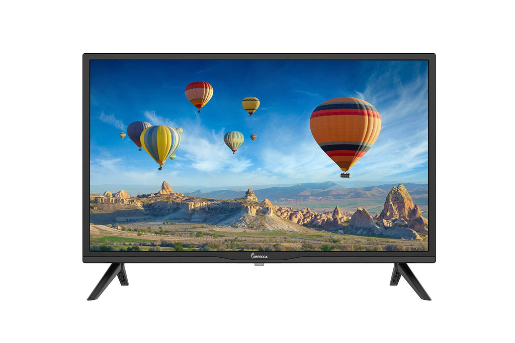 24 in. LED TV Monitor H242749