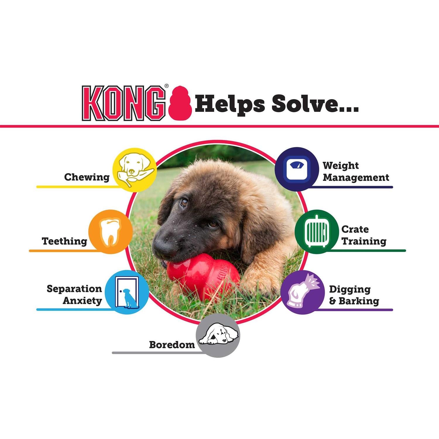 Dog Toy U508170