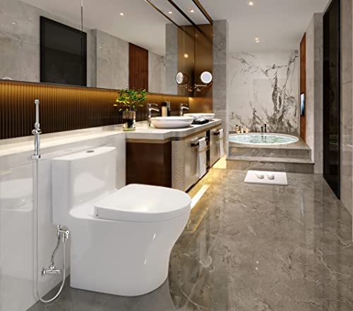 HandHeld Bidet Sprayer with Dual Pressure Controls P419