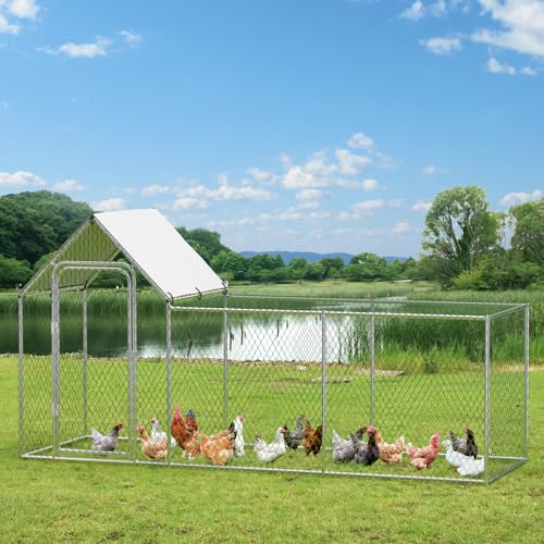 Large Metal Chicken Coop with Waterproof and Anti-UV Cover, 10' W x 3.3' D x 5' H D843