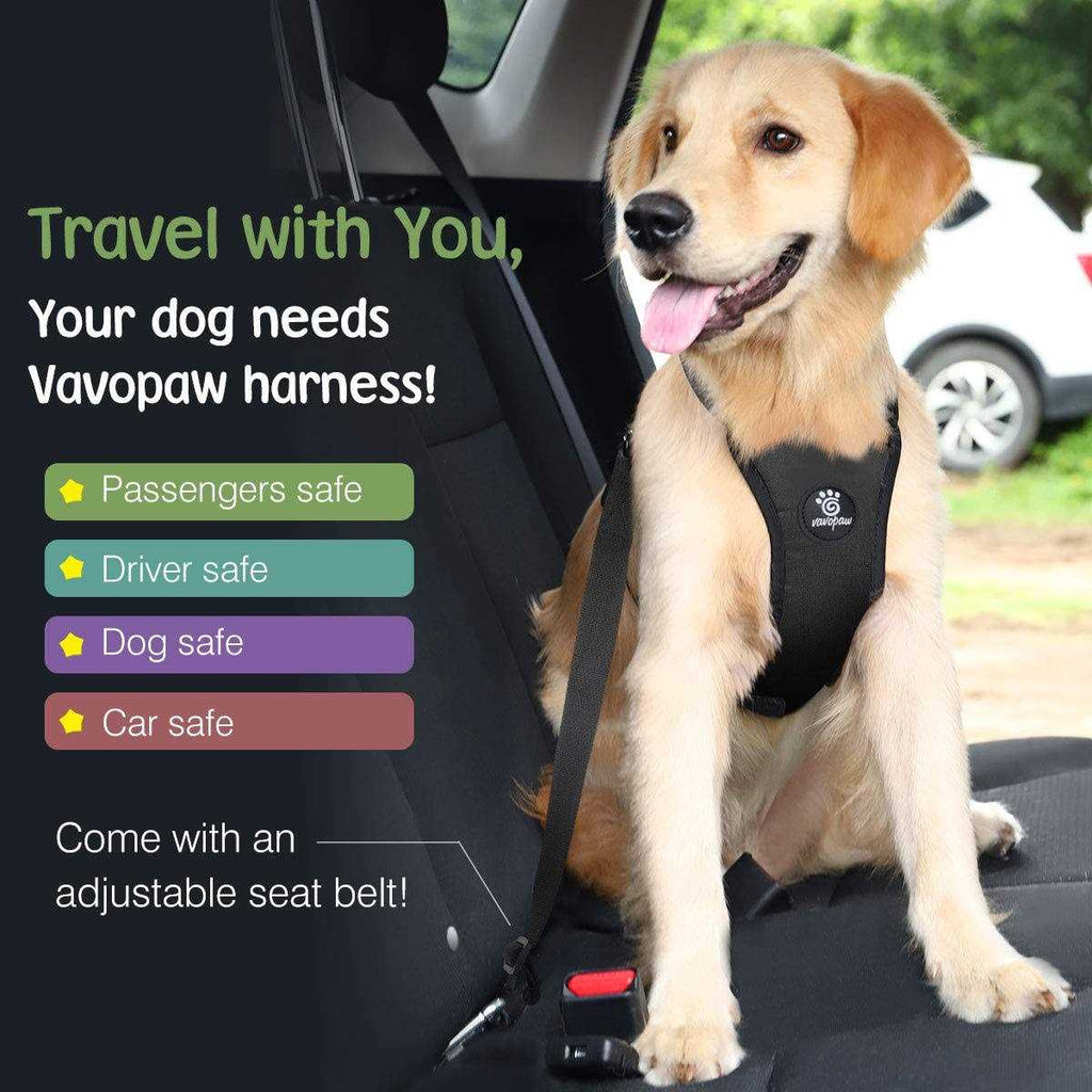 Adjustable Soft Padded Mesh Dog Vehicle Safety Vest Harness with Travel Strap and Carabiner B42784