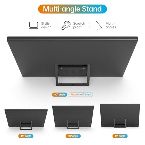 15.6 Inch 1080P USB-C HDMI IPS Portable Monitor D24073
