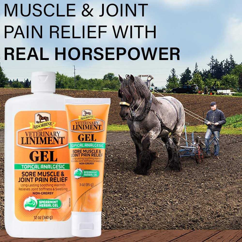 Absorbine Veterinary Liniment Gel Topical Menthol Analgesic Rub K7349