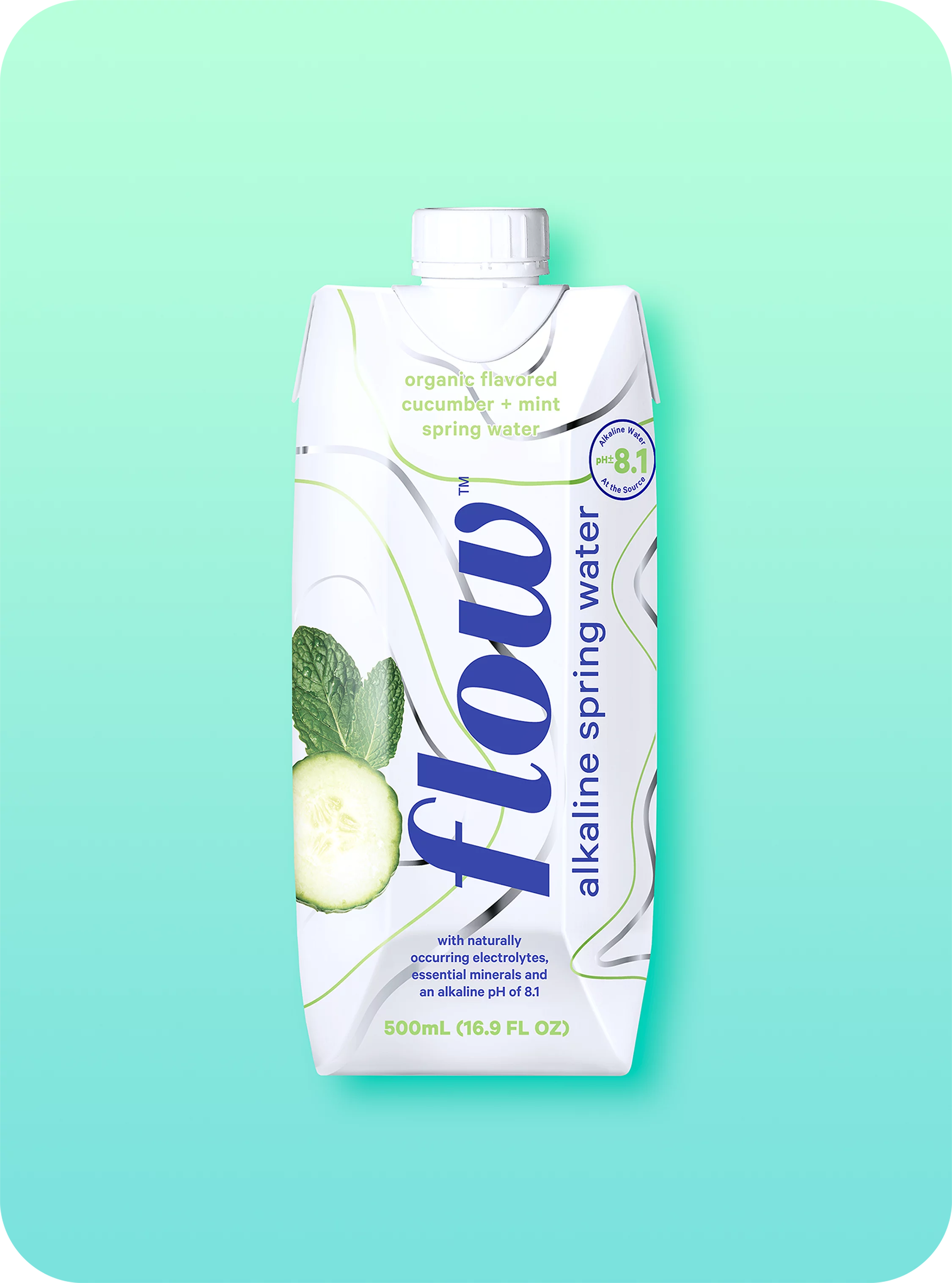 16.9 fl oz 12 Pack Alkaline Spring Water V8576