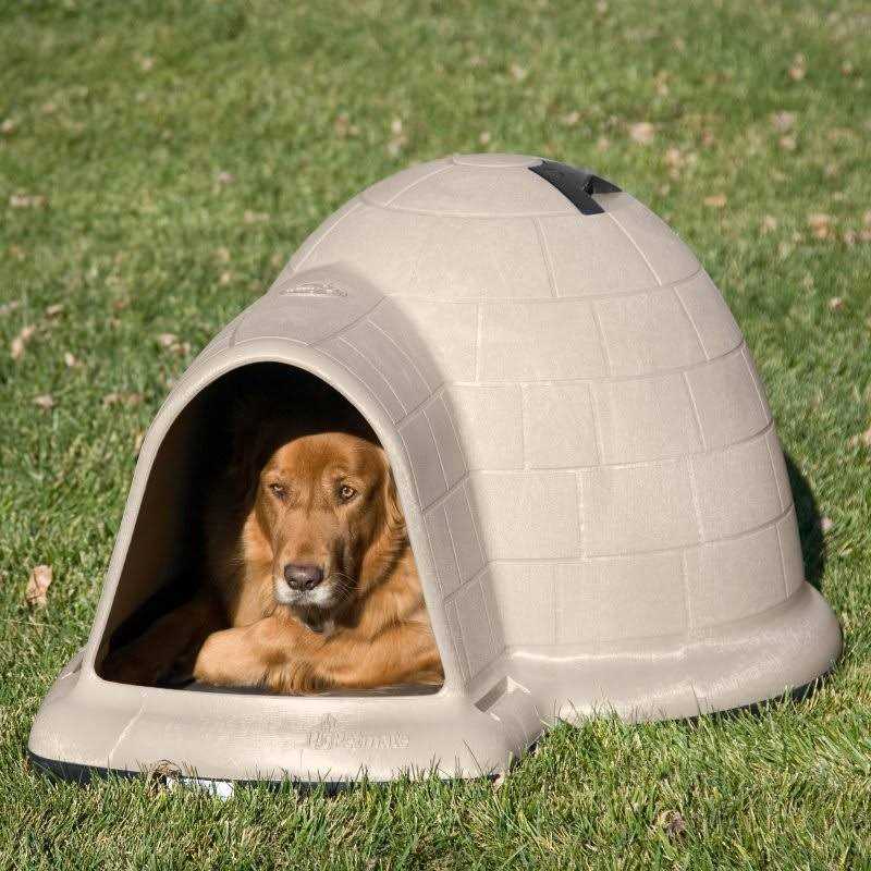 Pet Supplies O484802