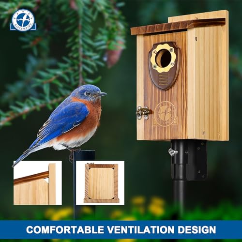 Wooden Hanging Bird House U471479