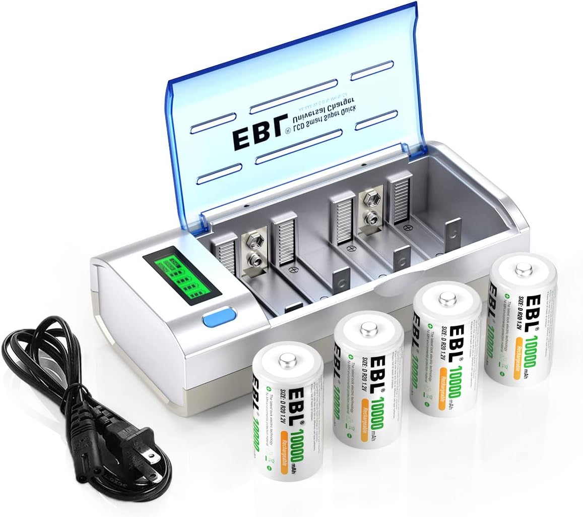 D Cells 10000mAh Rechargeable Batteries (4 Counts) with Battery Charger Pack of 2 P703