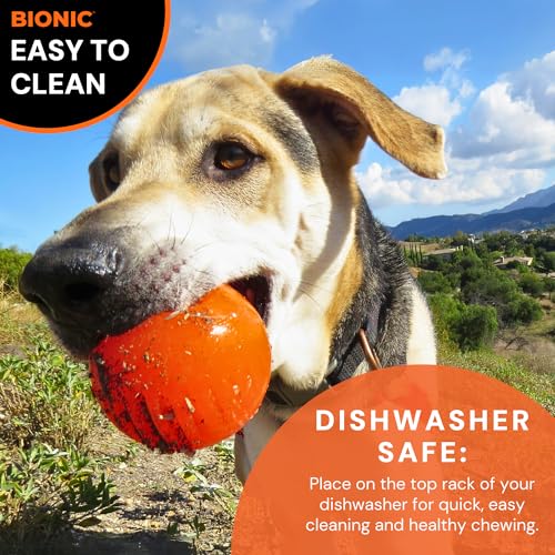 Small Dog Chew Toy L8895