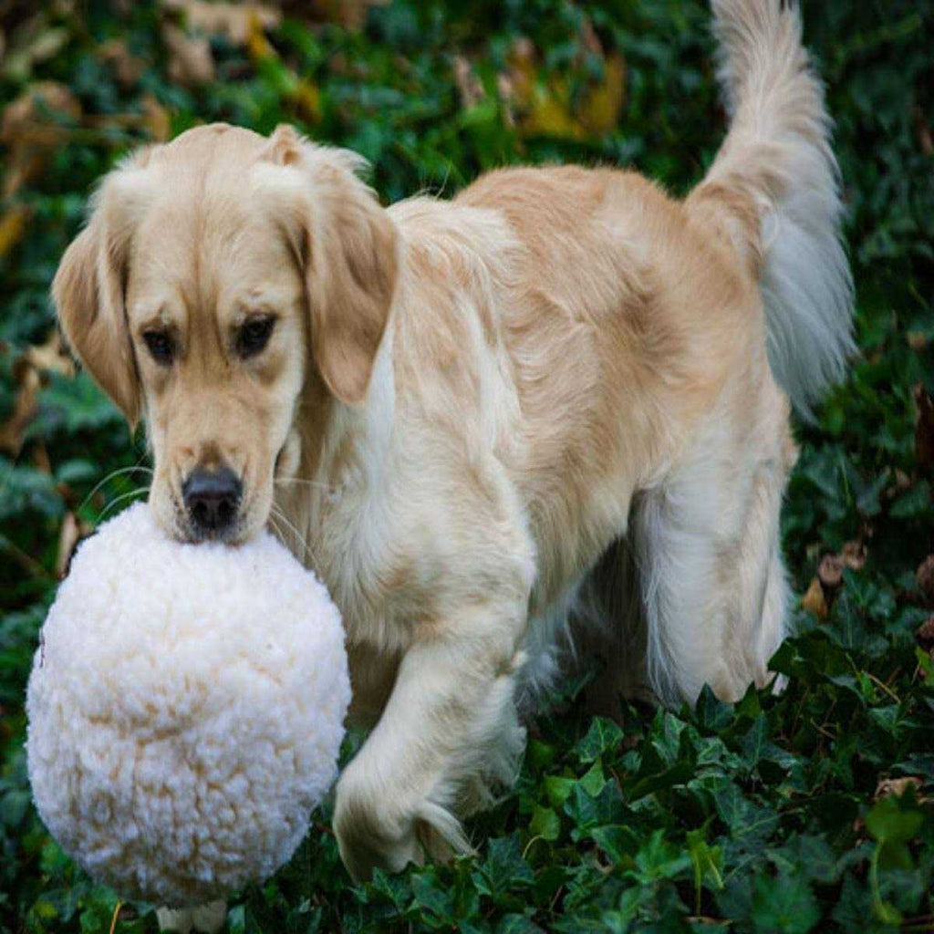 HuggleFleece Ball Dog Toy D302580