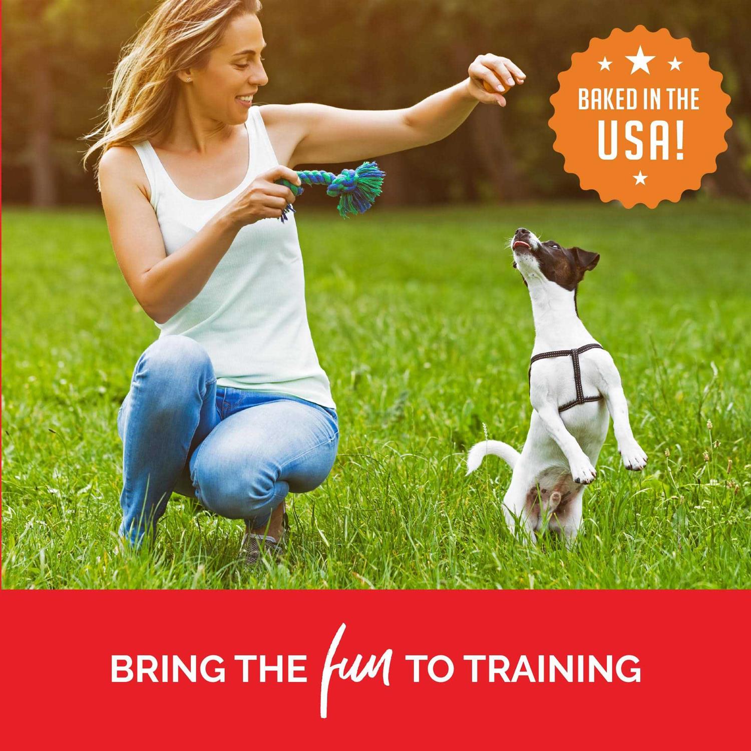Training Bites Dog Treats O304691
