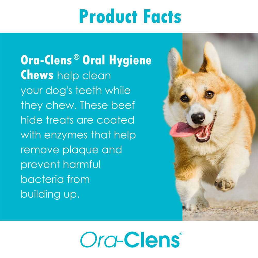 Oral Hygiene Dental Dog Treats H1331