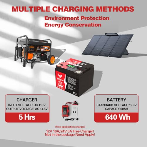 12V 300Ah LiFePO4 Lithium Battery with 250A BMS E6287