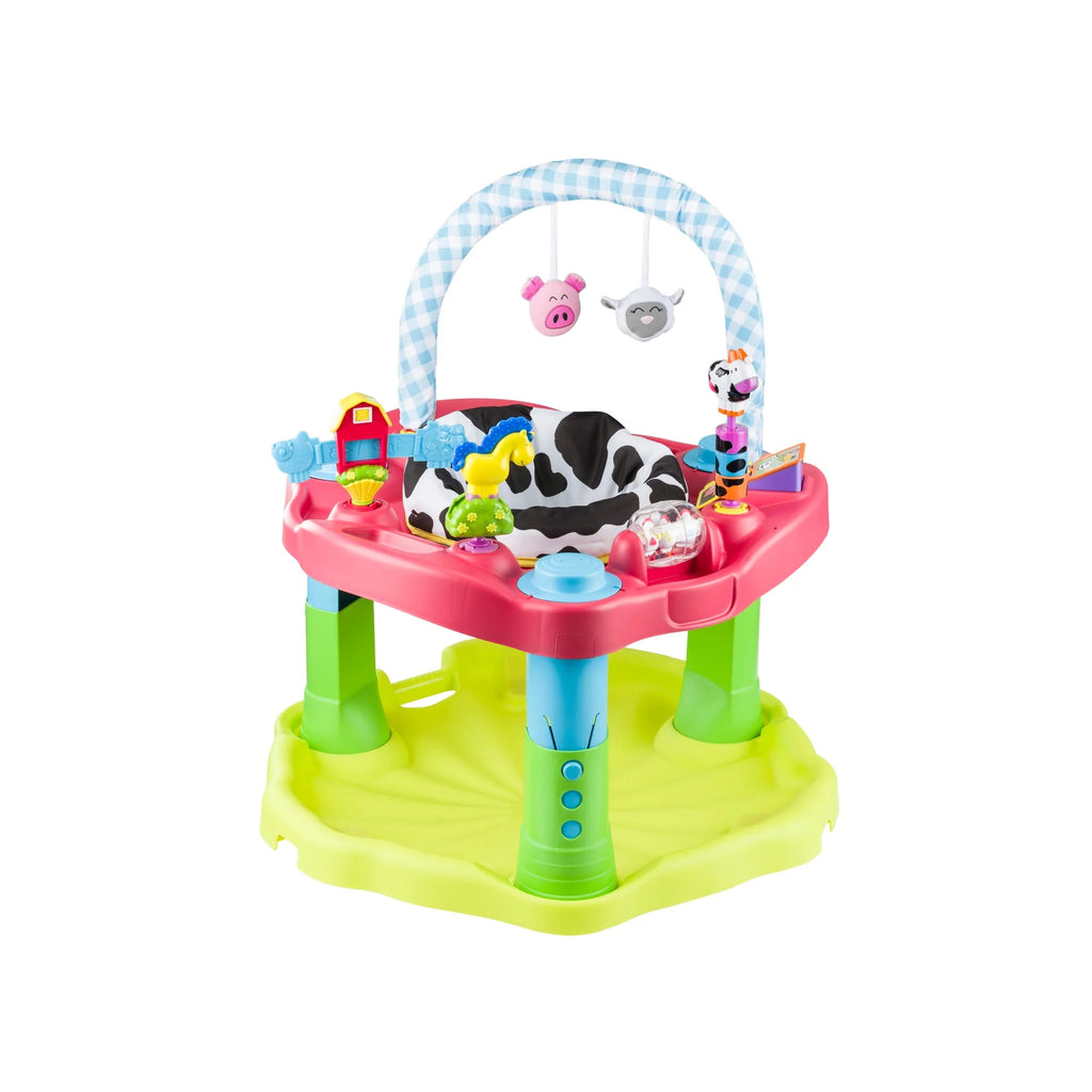 Unisex Bouncing Activity Saucer H5352