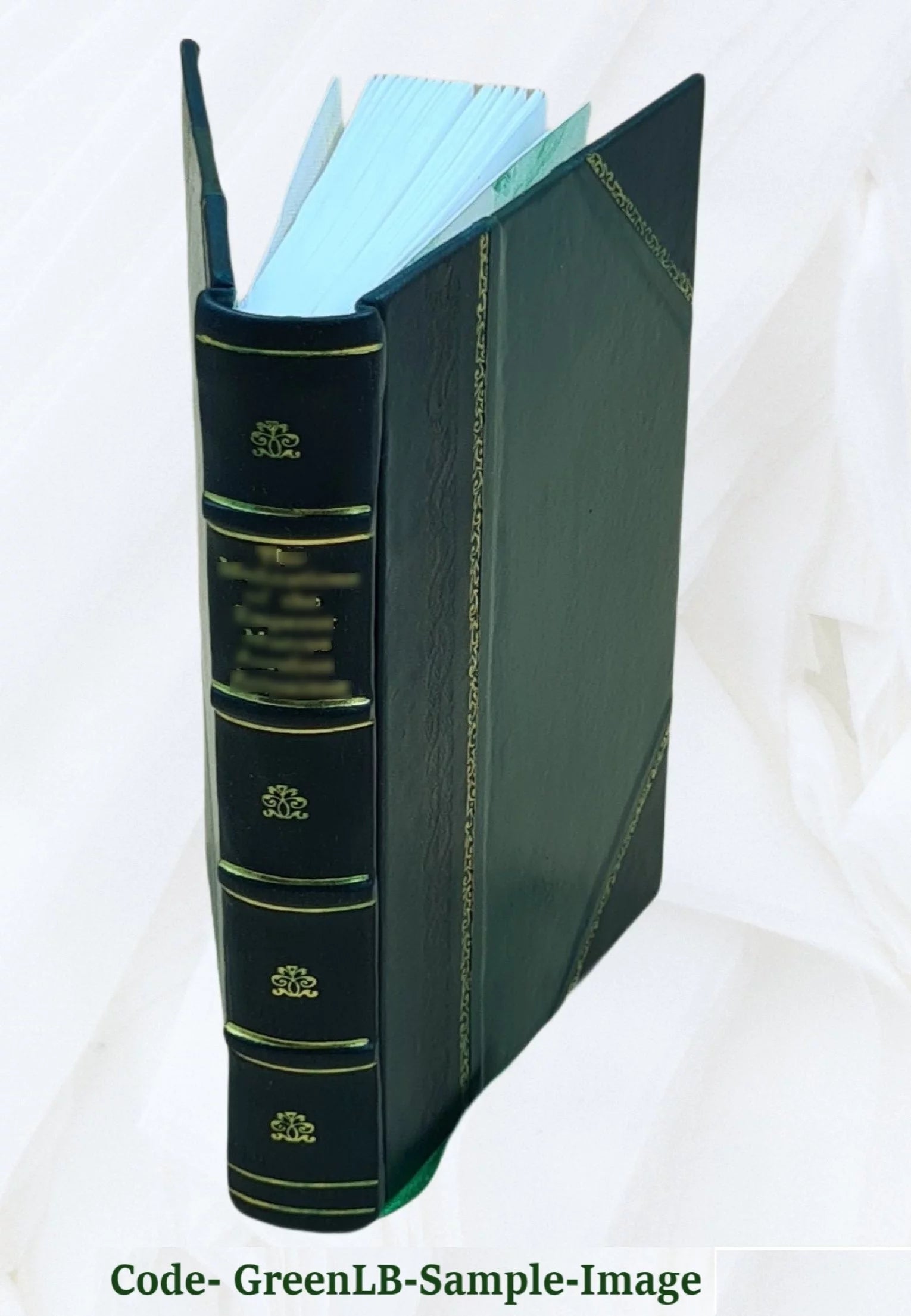 Leather Bound Book I8006