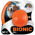 Small Dog Chew Toy L8895