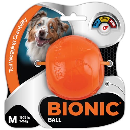 Small Dog Chew Toy L8895