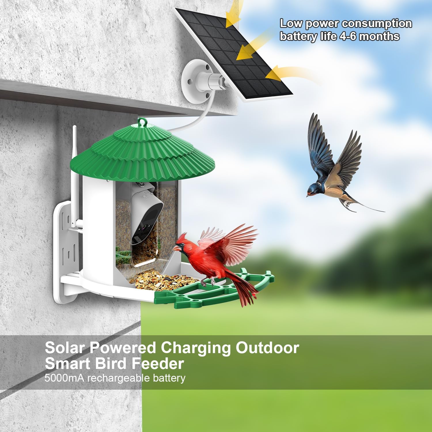 Bird Feeder with Camera J127