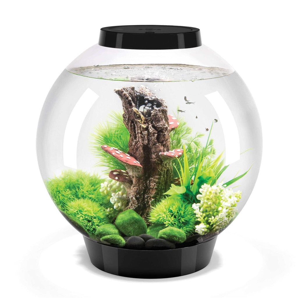 Classic 60 Aquarium with LED X57777