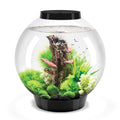 Classic 60 Aquarium with LED X57777