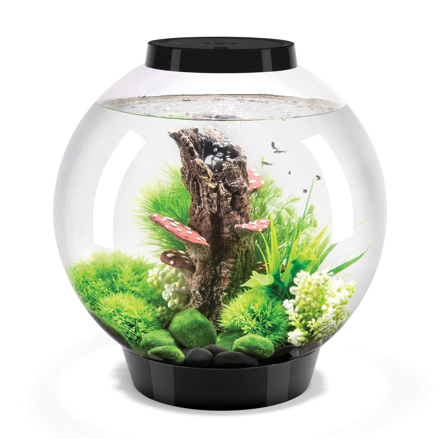 Classic 60 Aquarium with LED X57777