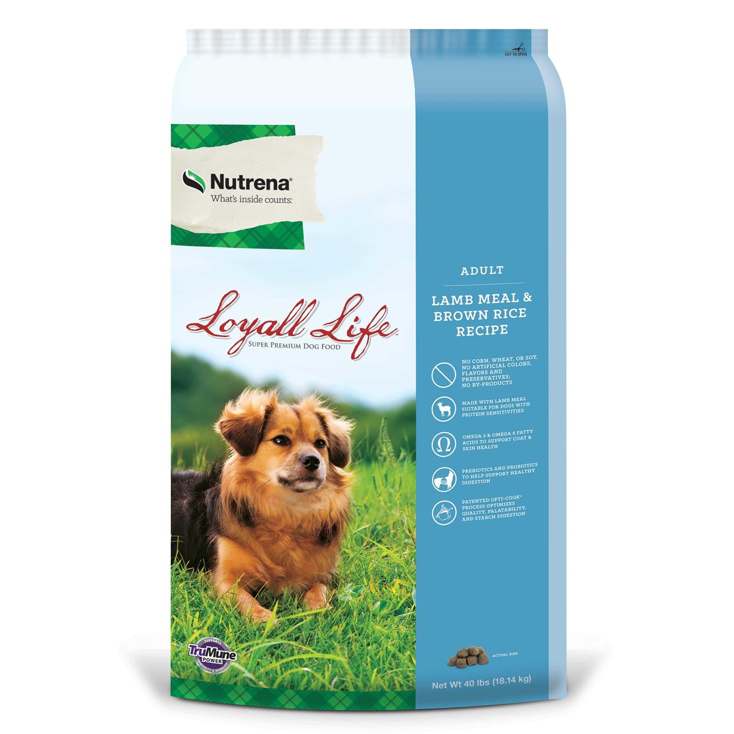 Adult Lamb & Rice Dog Food A620