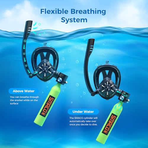 0.5L Mini Scuba Tank with Full Face Diving Mask Q760568