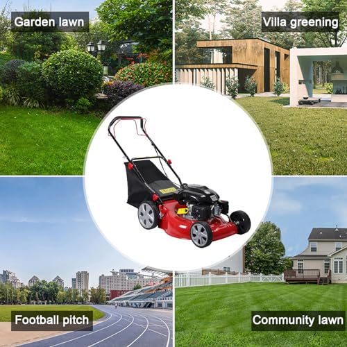 20-Inch Gas Push Lawn Mower, 141CC 4-Cycle Engine, Self Propelled, Side Discharge, High Rear Wheels, 7-Position Single Wheel Height Adjustment (Red) R615