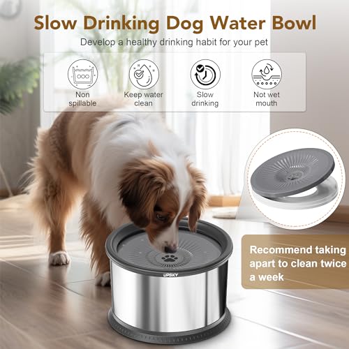 6.5L Stainless Steel No Spill Dog Water Bowl with Anti-Slip Mat P774399
