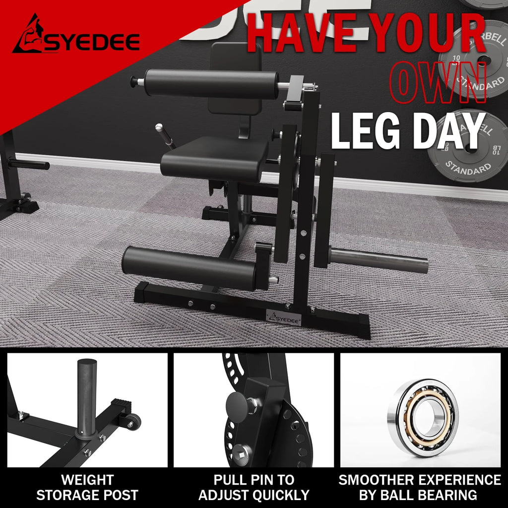 Adjustable Leg Extension and Curl Machine W698