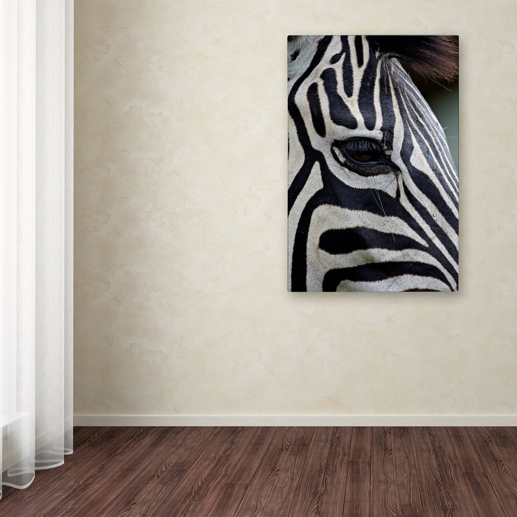 Zebras Canvas Art X435