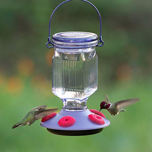 Lavender Field Glass Hummingbird Feeder Purple 16 oz O92293