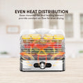 5 Stainless Steel Tray Food Dehydrator V17414