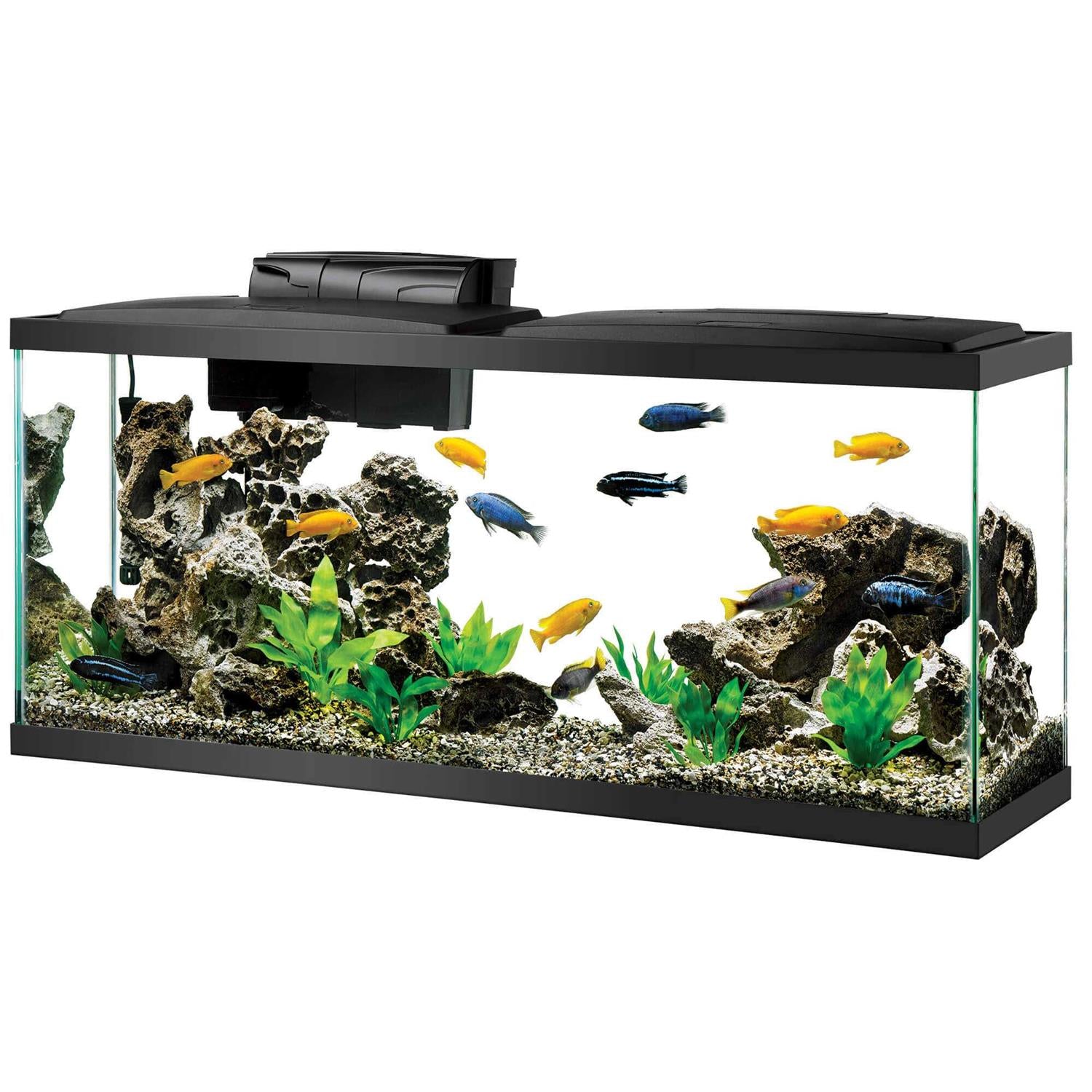 Standard Aquarium V41647