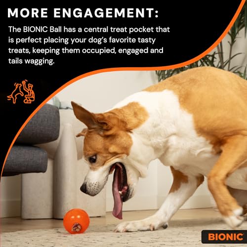 Small Dog Chew Toy L8895