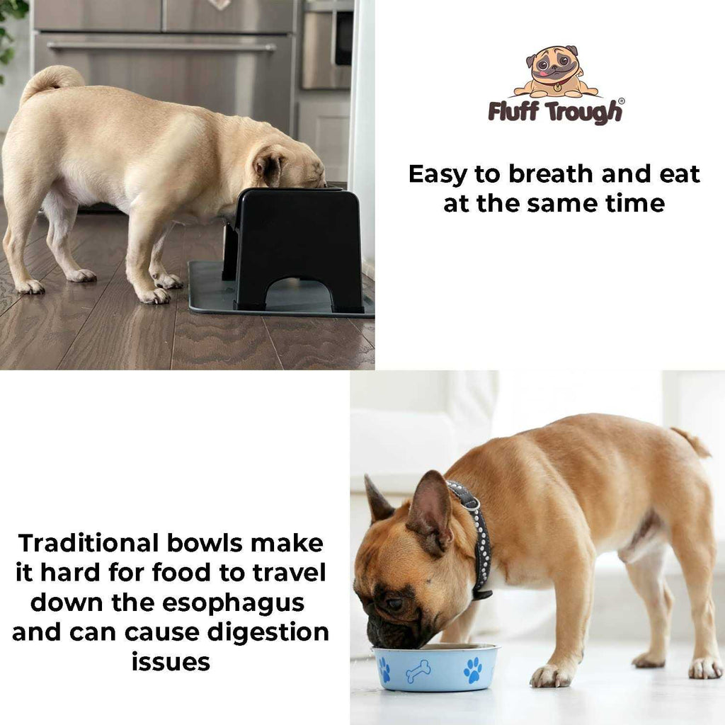 Elevated Dog & Cat Feeder P33337