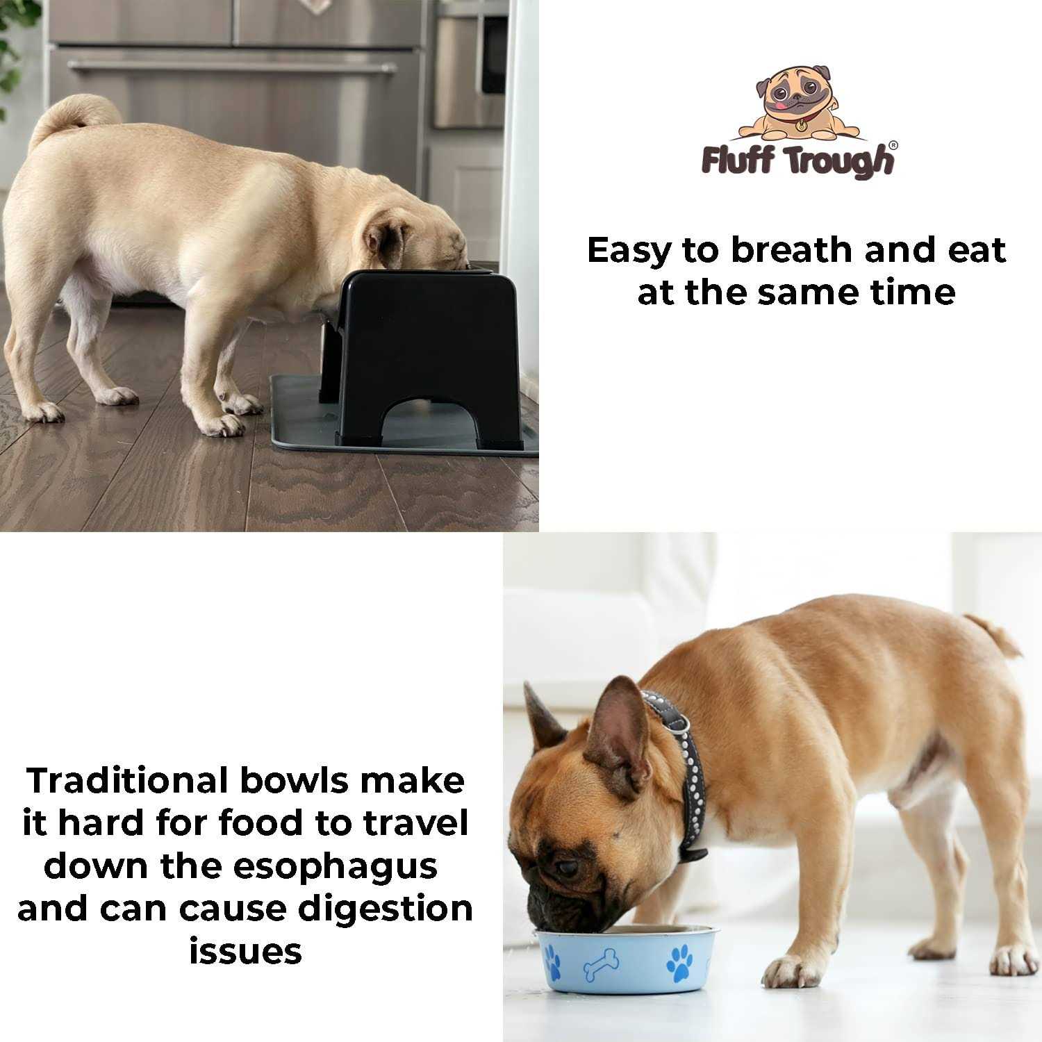 Elevated Dog & Cat Feeder P33337