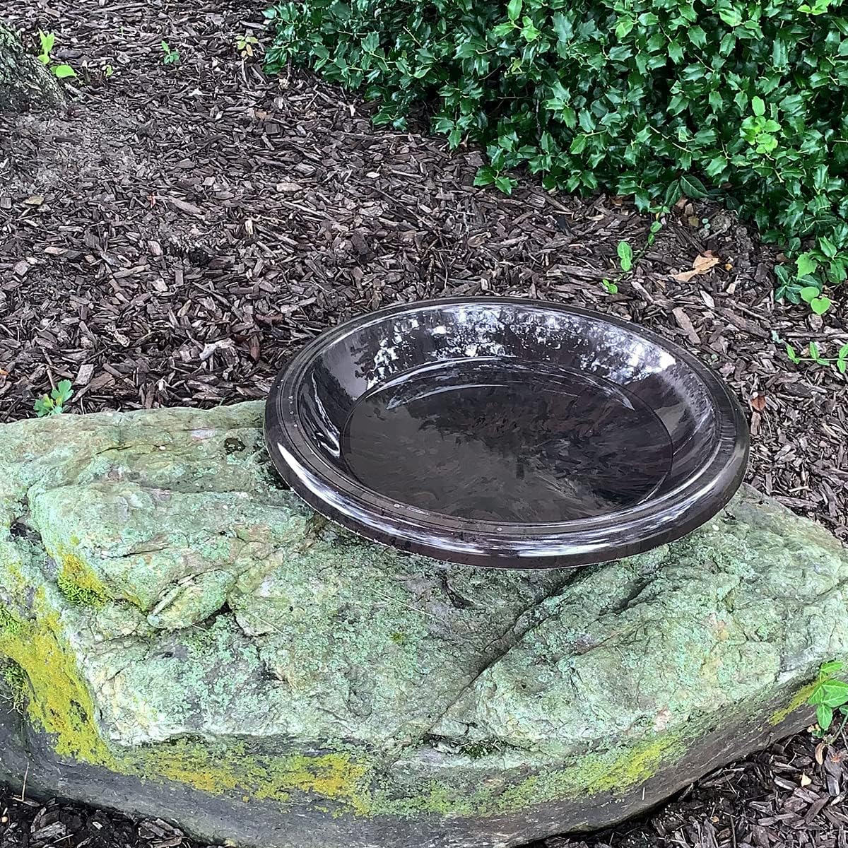 Antique Brown Fiber Clay Bird Bowl X835092