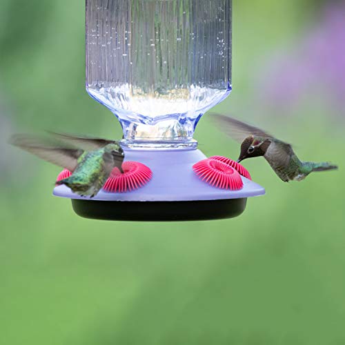 Lavender Field Glass Hummingbird Feeder Purple 16 oz O92293