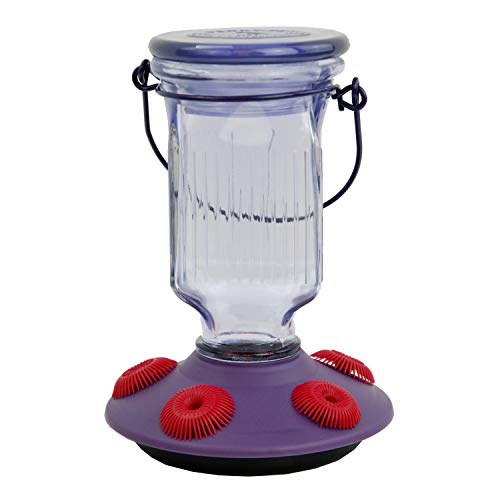 Lavender Field Glass Hummingbird Feeder Purple 16 oz O92293
