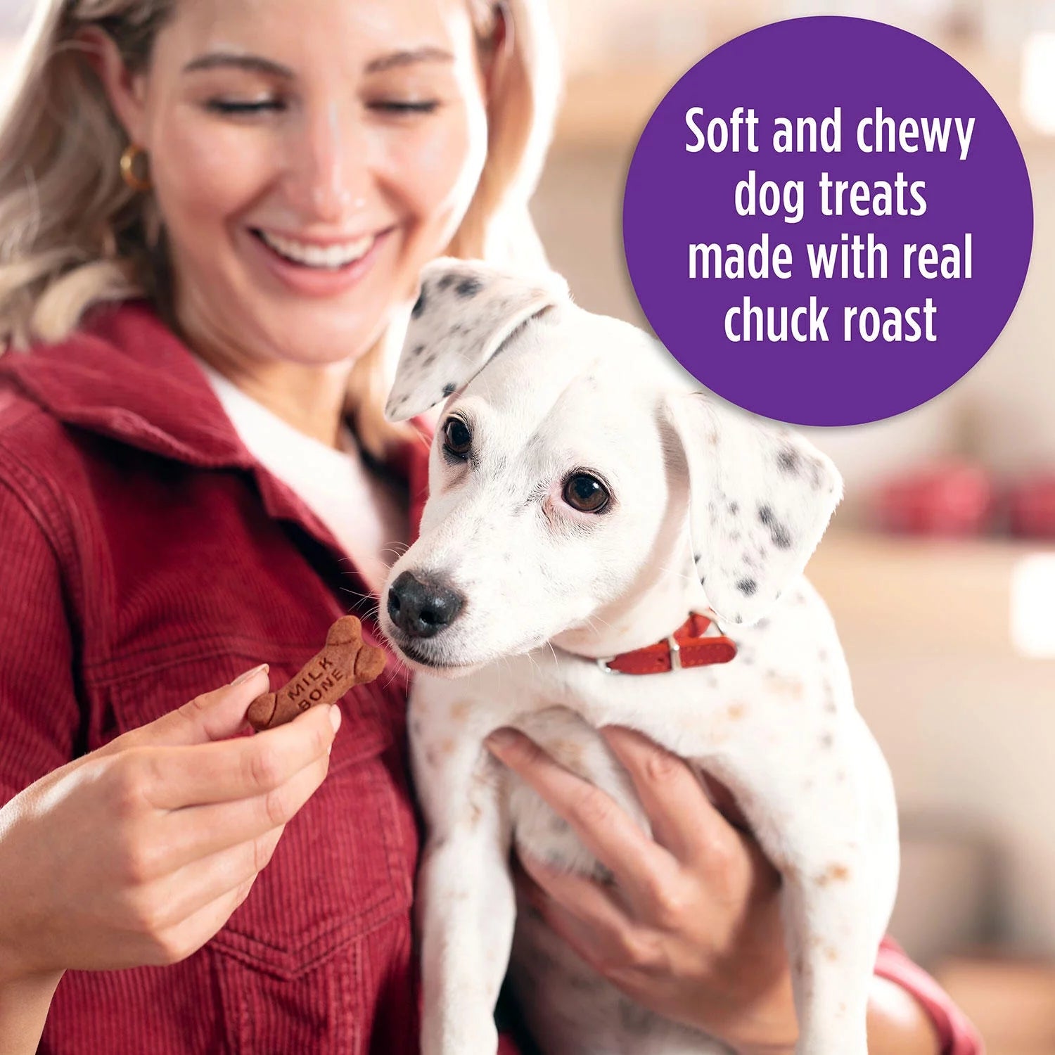 Soft & Chewy Beef & Filet Mignon Recipe Dog Snacks (37 oz.) K74297