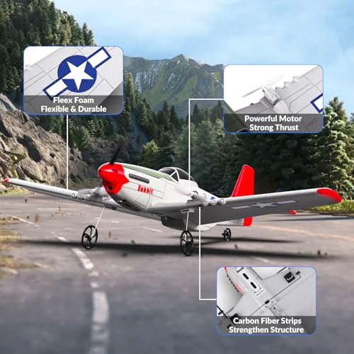 Blue 2.4Ghz 2CH Remote Control Airplane S902554
