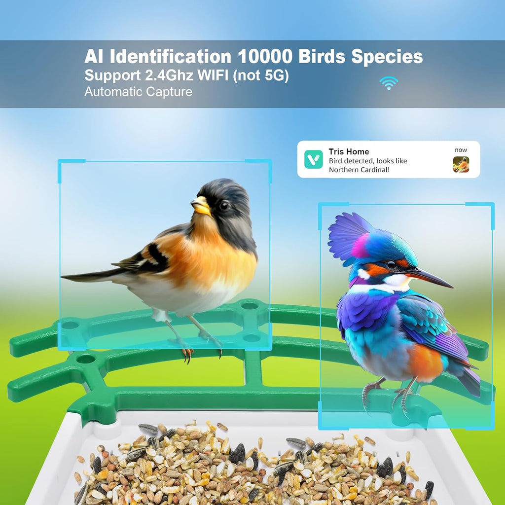 Bird Feeder with Camera J127