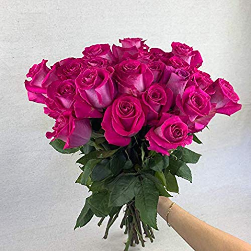 24 Red Roses Fresh from the Farm Red Rose Bouquet Long-Lasting Fresh Flowers 20" Long Stems No Vase 2 Dozen Q1152
