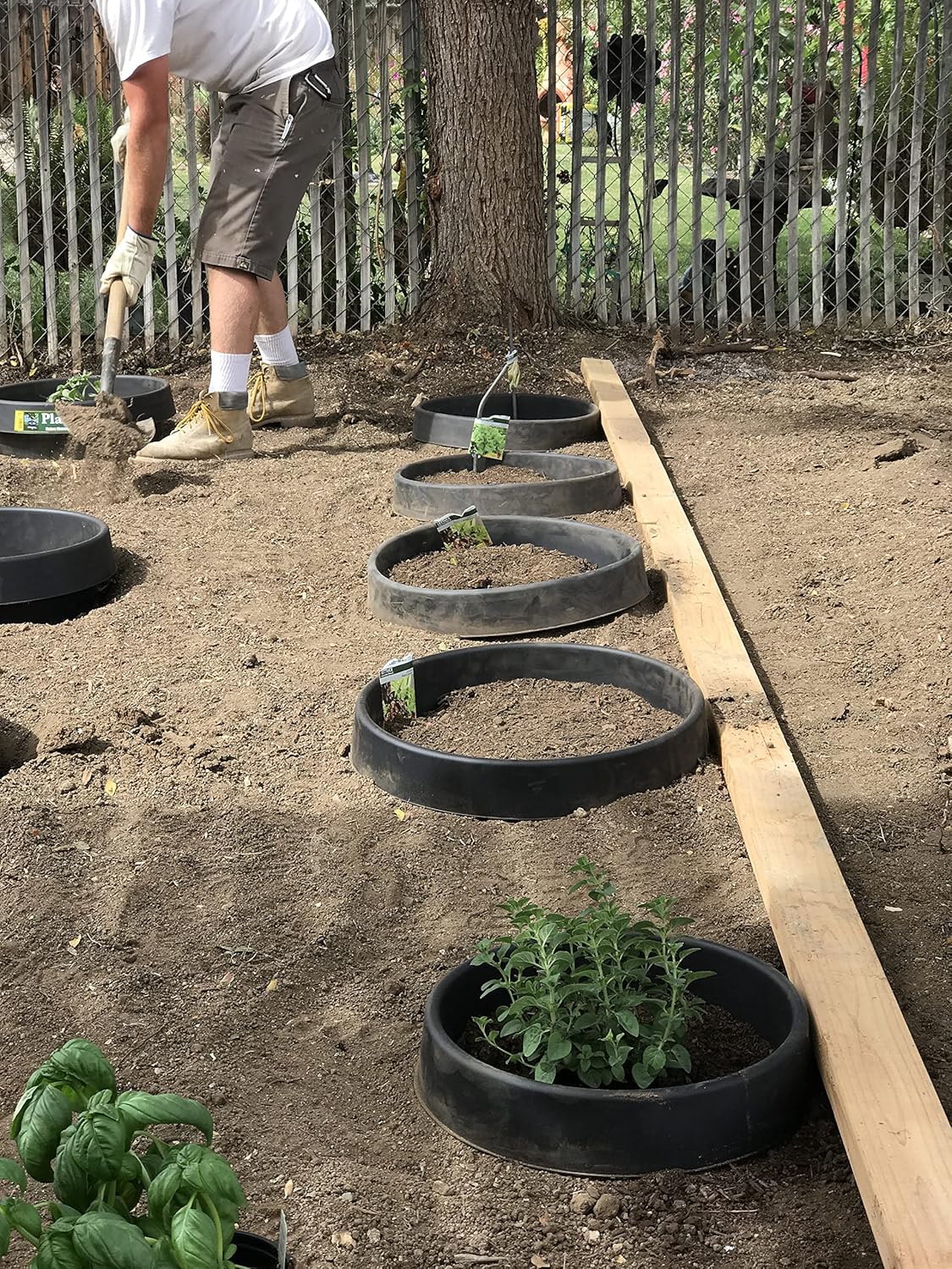 3 Pack 16 in Planting Rings U979