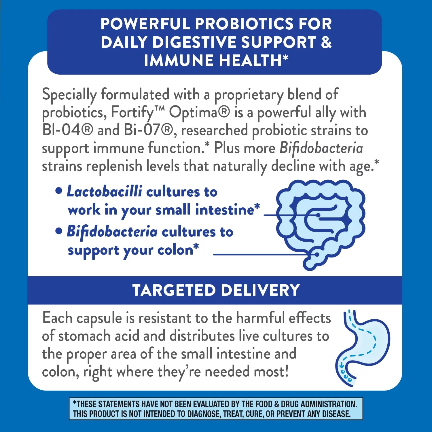 30 Capsules Daily Probiotic P521