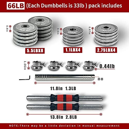 Adjustable Cast Iron Dumbbell Set with Carry Box 44lbs 66lbs 110lbs P49106