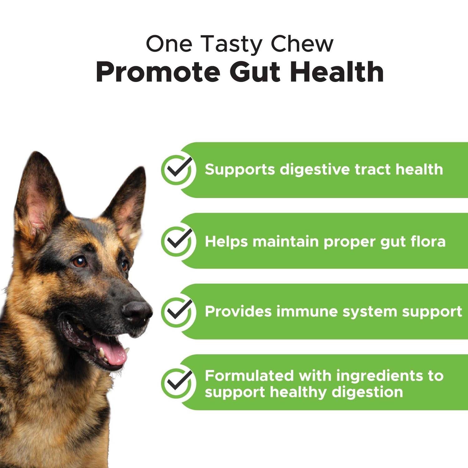 Digestive Probiotics Soft Chews Q598954