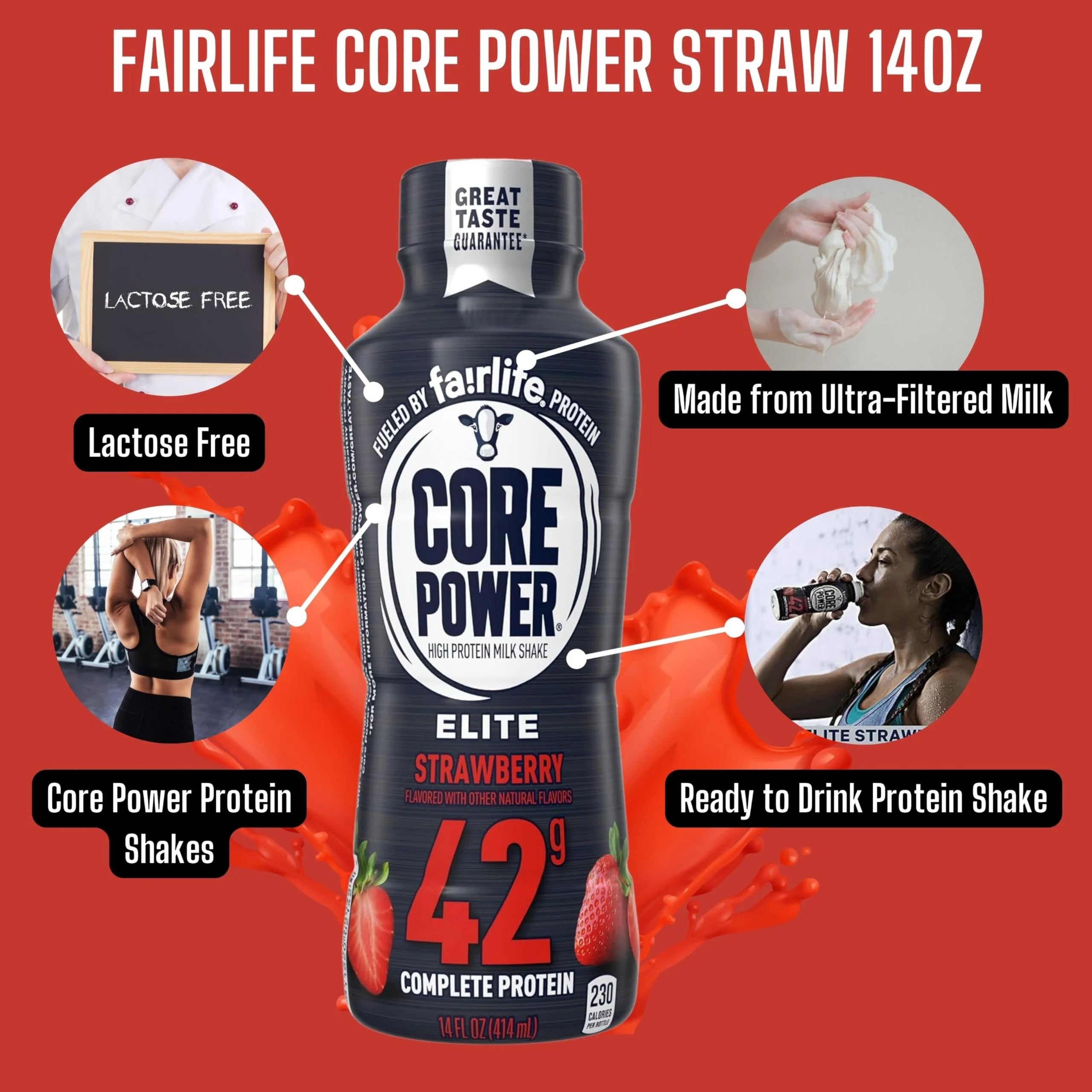 Strawberry Protein Shake 14 Fl Oz Pack of 12 F843622