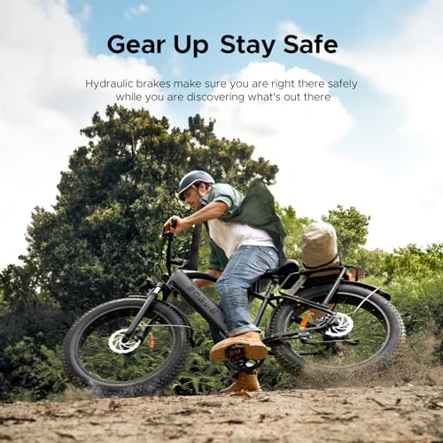 26" Fat Tire Electric Bike with 48V 16Ah Removable Lithium-Ion Battery S2261